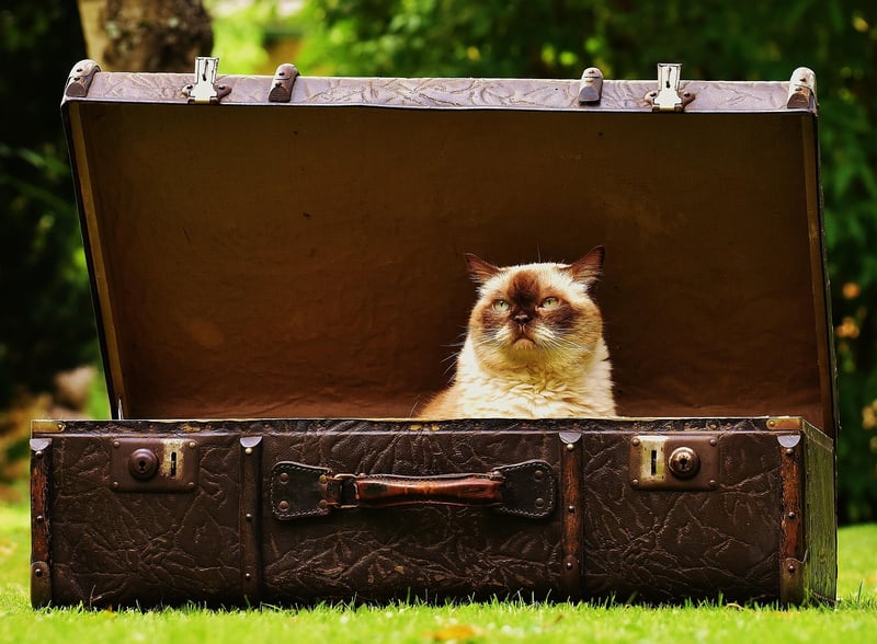 Experienced Tour Leader